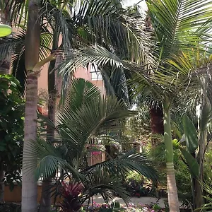 Constantaras Appartement Protaras
